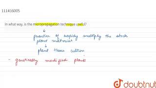 In what way is the micropropagation technique useful  CLASS 12  ANSWER IN ONE SENTENCE  BI [upl. by Mckinney]