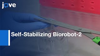 Cardiac Muscle CellBased Actuator amp SelfStabilizing Biorobot  Part 2 l Protocol Preview [upl. by Griffith]