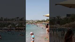 🇪🇬Sharm El Sheikh Beach  Paradise on Egypts Coastline [upl. by Halsy]