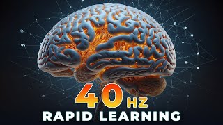 Rapid Learning 🧠 40Hz Gamma Brainwaves Binaural Beats Peak Concentration 🧘🏼‍♂️ Intense Focus [upl. by Sidhu]