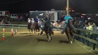 Mares and Geldings Pacing Triple S Horse Show September 9 2017 [upl. by Eimarej713]