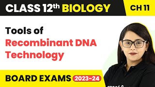 Tools of Recombinant DNA Technology  Class 12 Biology Chapter 11 202223 [upl. by Yanaton]