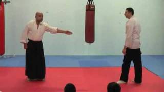 Aikido Techniques [upl. by Alger]