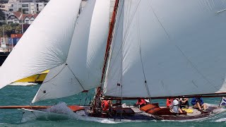 Classic Yachts Auckland Anniversary Day  2024 [upl. by Macnamara494]