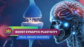 Boost Synaptic Plasticity  Heal From Brain Injuries Strengthen Neurons Connections  80 Hz [upl. by Allayne]