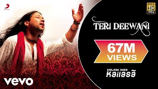 Teri Deewani  Kailash Kher  Official Video  Kailasa  Paresh  Naresh [upl. by Eiramalegna]