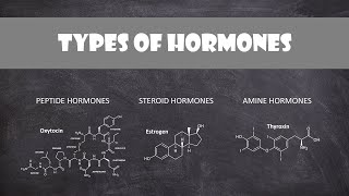 Types of Hormones  Human Physiology [upl. by Quince513]