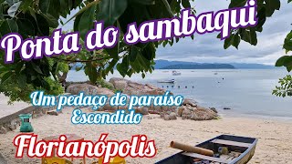 ponta do sambaqui  Florianópolis 060224 [upl. by Eisdnil]