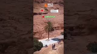 دكفايثجرادة أمطار الخير ⛈️ morocco [upl. by Fredenburg931]