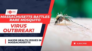 Massachusetts Battles Rare Mosquito Virus Outbreak [upl. by Cornwall]