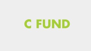 Your TSP Investment Options The C Fund [upl. by Yahsed]