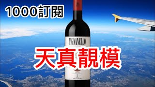 1000訂閱達成 請開字幕 天真靚模  Tignanello  1000字感想  酒海無崖  仍有進步空間 [upl. by Partan]