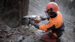 Ritorno al bosco il lavoro del boscaiolo in Lombardia [upl. by Etnahsa818]