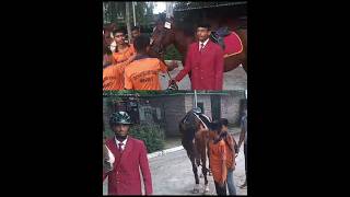 Horse Riding Vlog  Army Bharti vlog army indianarmy militaryschool sainikschool boarding [upl. by Ahtanaram698]