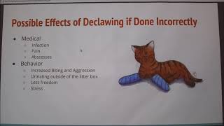 Declawing in Cats ProsCons [upl. by Queenie86]