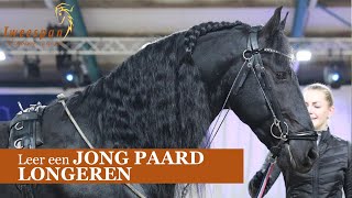 Leer hoe je een JONG PAARD moet LONGEREN [upl. by Ponce]