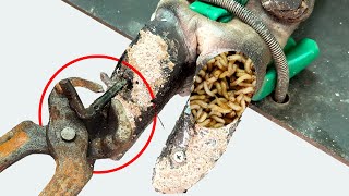 Cut Trim and Cleaning  Screw with Nails WAS STUCK IN cows hoof TK08 [upl. by Riana]