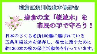 岩倉五条川桜並木保存会 [upl. by Neibaf]