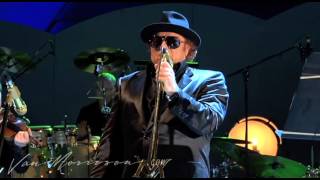 Van Morrison  The Way Young Lovers Do live at the Hollywood Bowl 2008 [upl. by Rehctelf]