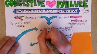 Congestive Heart Failure Pathophysiology [upl. by Nivahb]