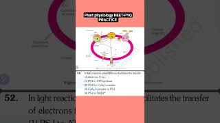 Plant physiology  NEETPYQ practice directory to ncert lines neet2025 biology [upl. by Checani480]