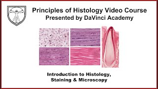 Introduction to Histology Staining and Microscopy [upl. by Lenehc155]