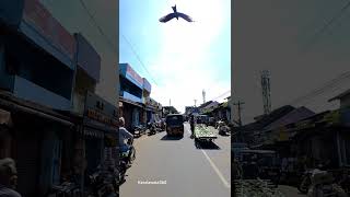 crazy driving  Palakkad Market road  Kerala പാലക്കാട് വലിയങ്ങാടി travel [upl. by Keli]