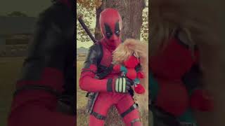 Spidey Vs Deadpool amp SpiderGwen shorts [upl. by Tab]