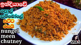 ඉන්දියාවේ ක්‍රමයට nungel meen පොල් සම්බෝලේ nungal meen coconut chutney for dosa side dish for dosa [upl. by Ailimat]