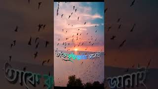 Tasnif – Utshorgo  উৎসর্গ লিরিক্স Amar Sob Tuku Biswas lyrics amer sob tuku biswas [upl. by Idnaj]