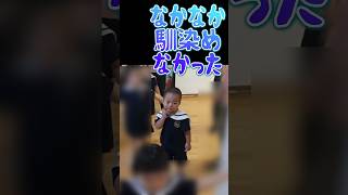 【幼稚園に馴染めなかった息子の今🎉🎉🎉】shorts kindergarten 幼稚園 友達 先生 感謝 [upl. by Oilegor550]