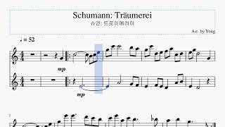 슈만 트로이메라이 플루트 편곡 Schumann Träumerei for Flute [upl. by Rahman210]