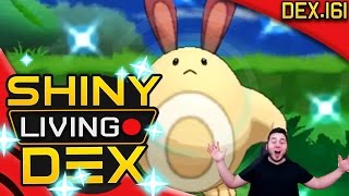 OMG RANDOM SHINY SENTRET REACTION Live Quest For Shiny Living Dex 161  Pokemon XY [upl. by Keily]