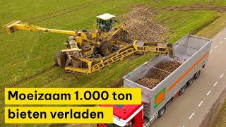 1000 ton bieten verladen met bietenmuis [upl. by Nosam]