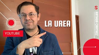 LA UREA Y SUS NIVELES NORMALES [upl. by Janot]