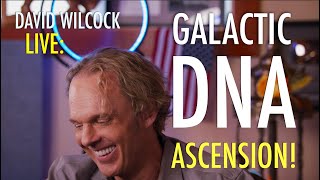 David Wilcock LIVE Galactic DNA Ascension [upl. by Idnil]