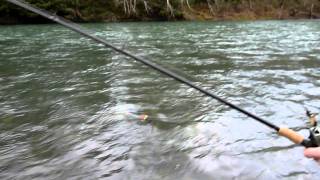 Native Steelhead on the Bogi [upl. by Amadus487]