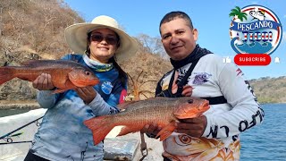 Pesca de PARGOS con carnada y señuelos Playa Hermosa 🎣 [upl. by Laram]