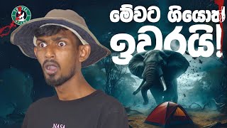 ලංකාවෙ භයානකම කදවුරු භූමි මෙන්න  Sri Lankas Most Dangerous Animal Activist Campgrounds in Sinhala [upl. by Leribag]