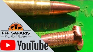 Testing the 375HampH 250gr Viper Bullet  FFF Safaris Outdoors 375HampH Viperbullet FFFSafaris [upl. by Ecirum12]