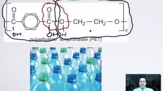 5 Important Macromolecules [upl. by Lyford]