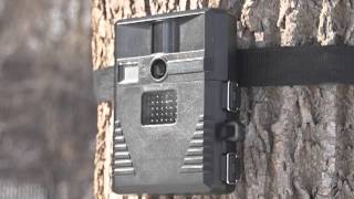 X8IR No Glo Game Camera [upl. by Biron159]