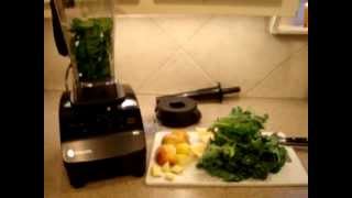 Vitamix 5200 Blender Review  Vitamix 5200 Demo  Antioxidantfruits [upl. by Sadella]