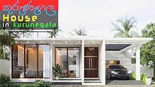 Box type single story house design  Kurunegala Sri Lanka2 bed room Mordern house designroof ter [upl. by Gant]