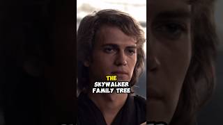 The CANON Skywalker Family Tree starwars [upl. by Yelrahs]