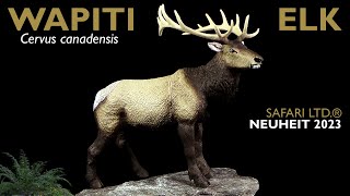 Safari Ltd ® Elk  Wapiti  Cervus canadensis  Wild Wildlife Review [upl. by Erot702]