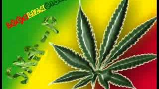 Legalizacion cannabis Ska p [upl. by Gassman239]