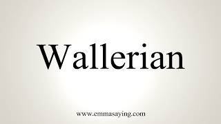 How To Pronounce Wallerian [upl. by Azelea]