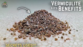 How To Use Vermiculite For Plants Its Benefits amp Side Effects [upl. by Lucilla]