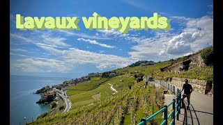 Day visit to Lavaux Vineyards  UNESCO world heritage  Switzerland 🇨🇭 [upl. by Falzetta]